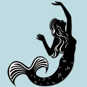 463314011_8531805723572229_9142790317500417808_n