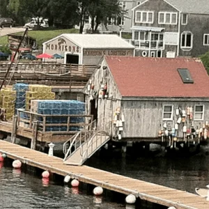 morrisons-lobsters-CHAMBER_1