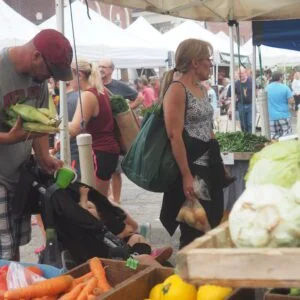 36863935300_510a695886_k