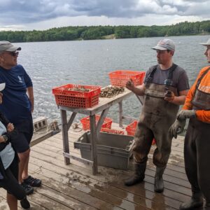 PXL_20240608_175227237.MP